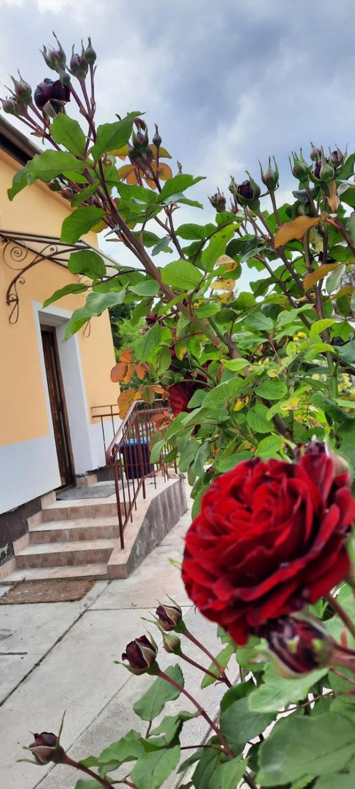 Hideaway House 01 With Garden & Yard And Free Parking Budapeste